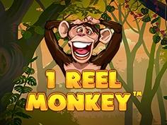 1 Reel Monkey