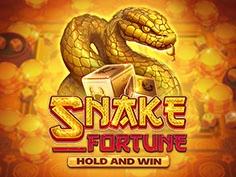 Snake Fortune Hold And Win